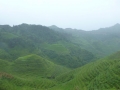 Dragon\'s Backbone Rice Terraces (Longsheng)