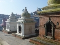 Temple de Pashupatinath - Katmandou