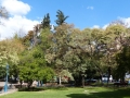 Mendoza - Plaza Independencia