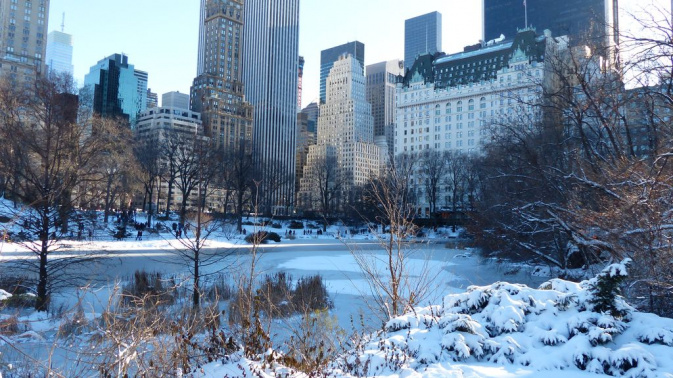 Central Park - Manhattan - New York