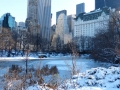 Central Park - Manhattan - New York