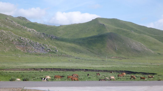 premiers pas en Mongolie