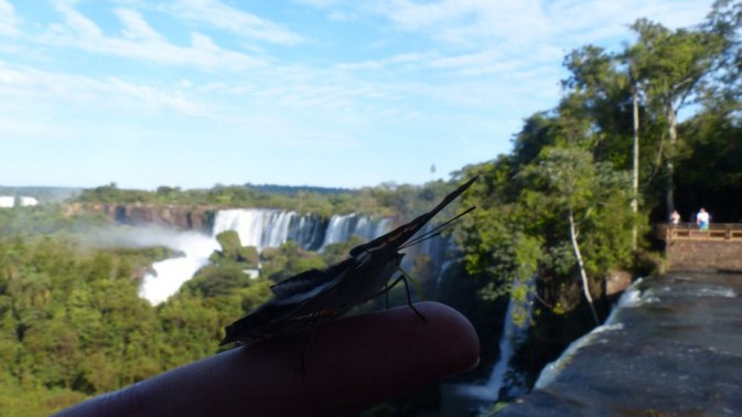 Chutes d\'Iguazú - Circuit supérieur