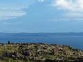 Lac Titicaca - île Amantani