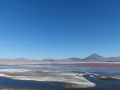 Laguna Colorada - Sud-Lipez