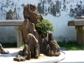 Suzhou - jardin de l\'humble administrateur