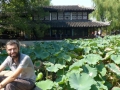 Suzhou - jardin de l\'humble administrateur